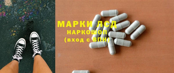индика Вяземский