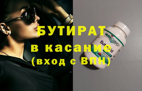 индика Вяземский