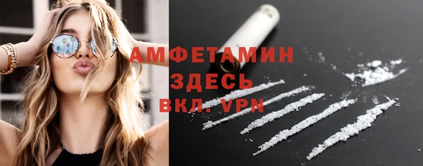 индика Вяземский