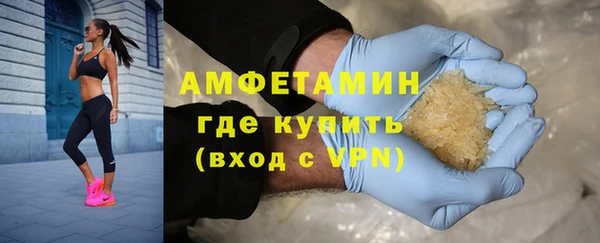 индика Вяземский