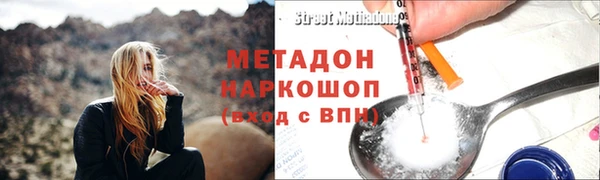 индика Вяземский