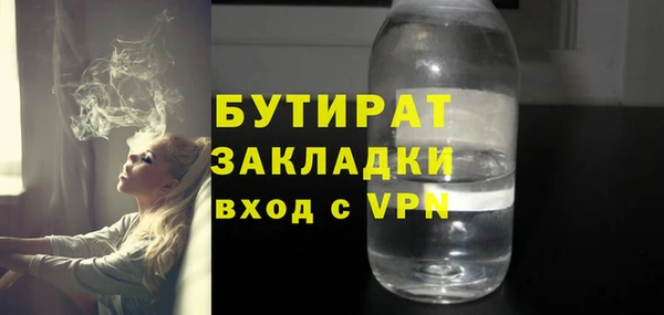 индика Вяземский