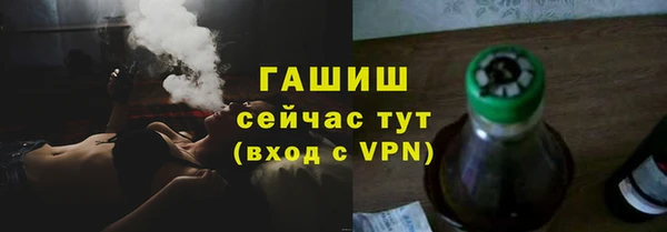 индика Вяземский