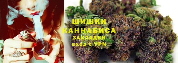 индика Вязники