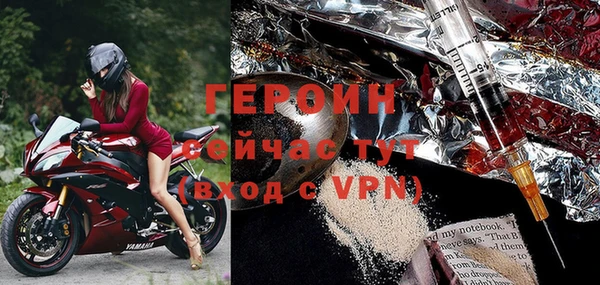 индика Вяземский