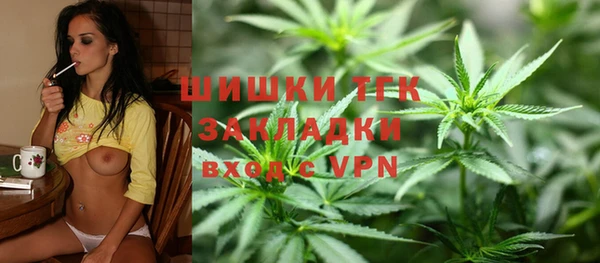 индика Вязники