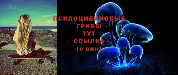 индика Вяземский